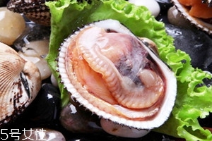 毛蚶不能和什么一起吃 毛蚶什么人不能吃 毛蚶不能和什么一起吃 毛蚶什么人不能吃