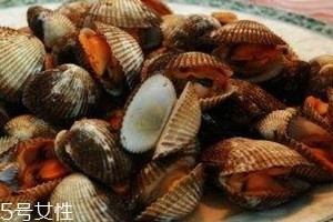 毛蚶可以生吃嗎 毛蚶怎么吃最好 毛蚶可以生吃嗎 毛蚶怎么吃最好