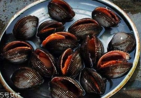 毛蚶怎么清理 毛蚶怎么洗才干凈 毛蚶怎么清理 毛蚶怎么洗才干凈