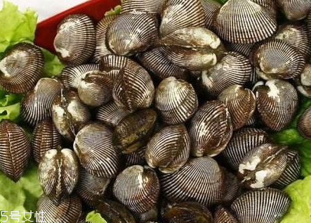 毛蚶什么部位不能吃 毛蚶里面黑色的能吃嗎 毛蚶什么部位不能吃 毛蚶里面黑色的能吃嗎