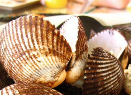 毛蚶怎么保存 毛蚶死了還能吃嗎 毛蚶怎么保存 毛蚶死了還能吃嗎