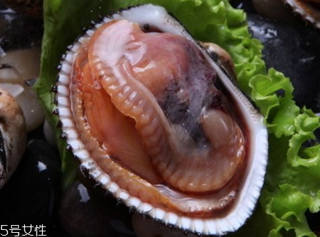 毛蚶怎么保存 毛蚶死了還能吃嗎 毛蚶怎么保存 毛蚶死了還能吃嗎