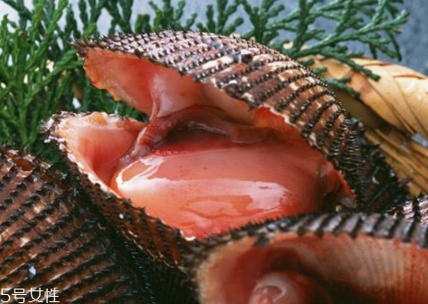 赤貝和毛蚶的區(qū)別 赤貝和毛蚶一樣嗎 赤貝和毛蚶的區(qū)別 赤貝和毛蚶一樣嗎