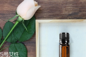 側(cè)柏精油的功效與作用 側(cè)柏精油使用方法 側(cè)柏精油的功效與作用 側(cè)柏精油使用方法