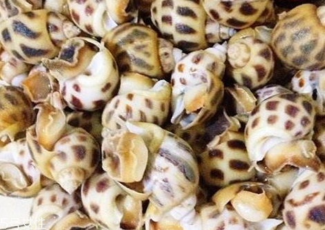 花螺要煮多久才熟 花螺怎么煮好吃 花螺要煮多久才熟 花螺怎么煮好吃