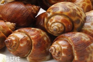 花螺要煮多久才熟 花螺怎么煮好吃 花螺要煮多久才熟 花螺怎么煮好吃