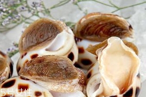 花螺怎么清洗 花螺怎么洗才干凈 花螺怎么清洗 花螺怎么洗才干凈