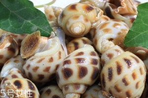 花螺不能和什么一起吃 花螺和什么相克 花螺不能和什么一起吃 花螺和什么相克