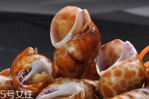 ?花螺為什么那么貴 花螺多少錢一斤2018 ?花螺為什么那么貴 花螺多少錢一斤2018