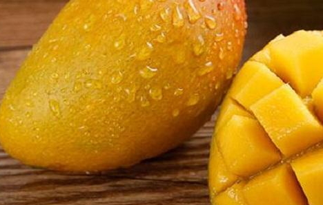 七彩芒多少錢一斤？七彩芒的功效與作用