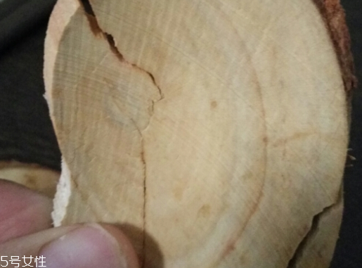 東革阿里是中藥嗎？東革阿里是什么？