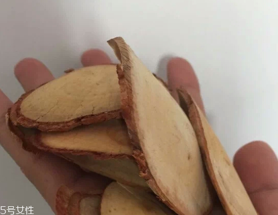 東革阿里是中藥嗎？東革阿里是什么？