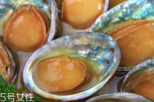 河蚌里面黃黃的能吃嗎 河蚌里面黃黃的是什么 河蚌里面黃黃的能吃嗎 河蚌里面黃黃的是什么