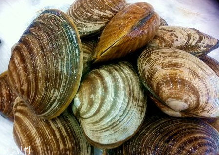 毛蛤蜊煮多長時間 煮毛蛤蜊的技巧 毛蛤蜊煮多長時間 煮毛蛤蜊的技巧