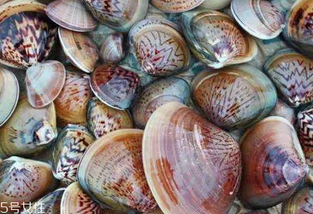 毛蛤蜊煮多長時間 煮毛蛤蜊的技巧 毛蛤蜊煮多長時間 煮毛蛤蜊的技巧