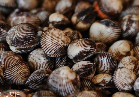 毛蛤蜊孕婦能吃嗎 毛蛤蜊和血蛤蜊有什么區(qū)別 毛蛤蜊孕婦能吃嗎 毛蛤蜊和血蛤蜊有什么區(qū)別