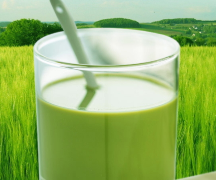 大麥若葉青汁豆奶好喝嗎？貝花子大麥若葉青汁豆奶點評