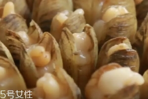 清蒸蟶子的做法 清蒸蟶子怎么做好吃？