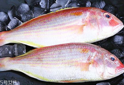紅杉魚多少錢一斤2018 紅杉魚的挑選技巧 紅杉魚多少錢一斤2018 紅杉魚的挑選技巧