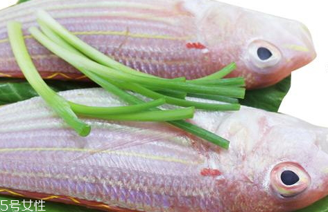 紅杉魚多少錢一斤2018 紅杉魚的挑選技巧 紅杉魚多少錢一斤2018 紅杉魚的挑選技巧