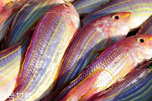 紅杉魚多少錢一斤2018 紅杉魚的挑選技巧 紅杉魚多少錢一斤2018 紅杉魚的挑選技巧