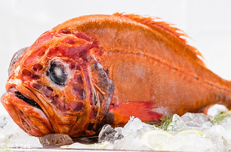 長壽魚多少錢一斤 長壽魚為什么叫長壽魚 長壽魚多少錢一斤 長壽魚為什么叫長壽魚