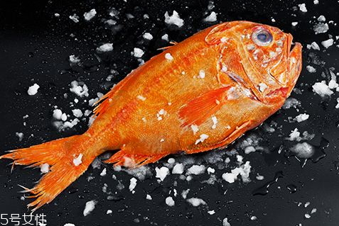 長壽魚多少錢一斤 長壽魚為什么叫長壽魚 長壽魚多少錢一斤 長壽魚為什么叫長壽魚