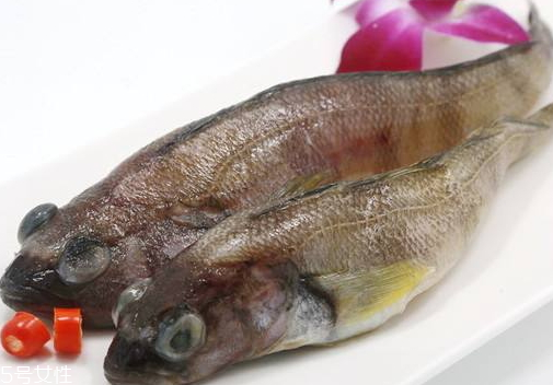 南極魚(yú)為什么那么便宜 南極魚(yú)的市場(chǎng)價(jià)格 南極魚(yú)為什么那么便宜 南極魚(yú)的市場(chǎng)價(jià)格