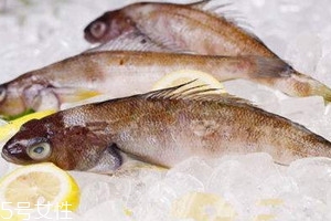 南極魚(yú)為什么那么便宜 南極魚(yú)的市場(chǎng)價(jià)格 南極魚(yú)為什么那么便宜 南極魚(yú)的市場(chǎng)價(jià)格