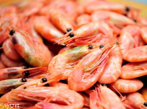 北極蝦多少錢一斤 新鮮北極蝦的選購(gòu)技巧 北極蝦多少錢一斤 新鮮北極蝦的選購(gòu)技巧