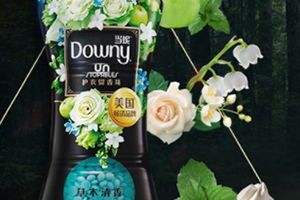 downy留香珠多少錢？當妮留香珠一瓶容量