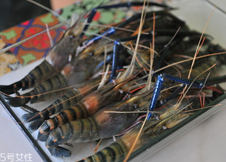 羅氏蝦什么時(shí)候上市 羅氏蝦最肥的季節(jié) 羅氏蝦什么時(shí)候上市 羅氏蝦最肥的季節(jié)