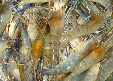 羅氏蝦孕婦可以吃嗎 孕婦吃羅氏蝦的好處 羅氏蝦孕婦可以吃嗎 孕婦吃羅氏蝦的好處