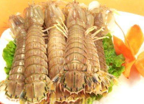 瀨尿蝦多少錢(qián)一斤2018 瀨尿蝦的挑選技巧