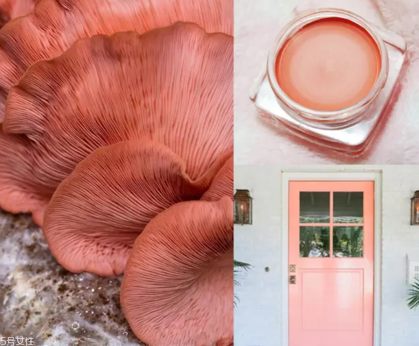 珊瑚色腮紅是什么色 珊瑚色腮紅顯白嗎 珊瑚色腮紅是什么色 珊瑚色腮紅顯白嗎