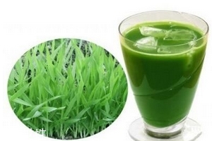 大麥若葉青汁是什么做的？