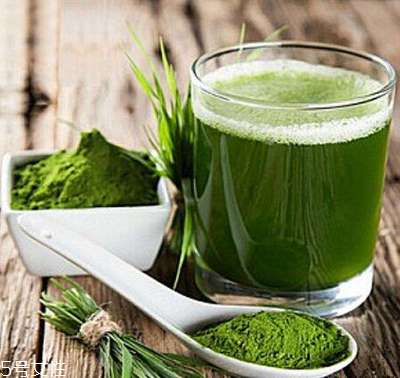 大麥若葉青汁會過敏嗎？