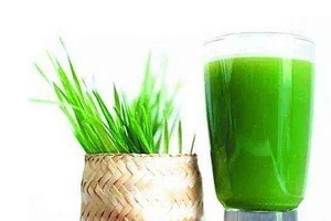 大麥若葉青汁可以加蜂蜜嗎？