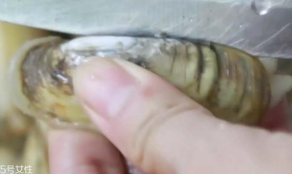 蔥香蟶子的做法 蔥香蟶子怎么做好吃？