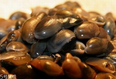 泥螺有寄生蟲嗎 泥螺怎么殺死寄生蟲 泥螺有寄生蟲嗎 泥螺怎么殺死寄生蟲