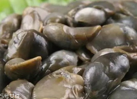 泥螺可以帶上飛機(jī)嗎 泥螺托運(yùn)怎么包裝 泥螺可以帶上飛機(jī)嗎 泥螺托運(yùn)怎么包裝