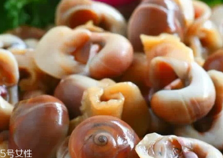 肚臍螺煮多久 水煮肚臍螺的做法 肚臍螺煮多久 水煮肚臍螺的做法