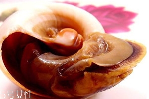 香螺煮多久 香螺要煮多久才熟 香螺煮多久 香螺要煮多久才熟