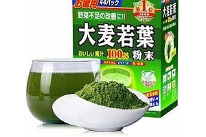 大麥若葉青汁小孩可以喝嗎？