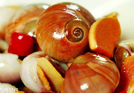 香螺不能和什么一起吃 香螺的食用禁忌 香螺不能和什么一起吃 香螺的食用禁忌