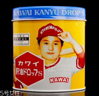 日本肝油丸說明書 日本肝油丸服用說明 日本肝油丸說明書 日本肝油丸服用說明