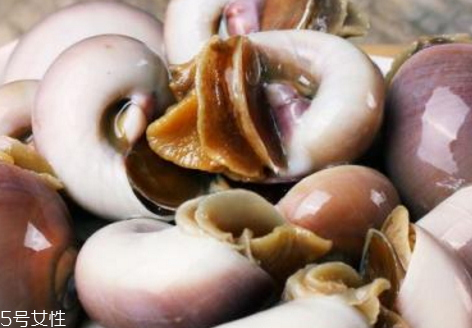 香螺什么季節(jié)最肥 香螺什么時候有 香螺什么季節(jié)最肥 香螺什么時候有