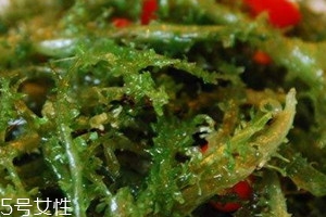 鹿角菜孕婦可以吃嗎 鹿角菜哪些人不能吃 鹿角菜孕婦可以吃嗎 鹿角菜哪些人不能吃