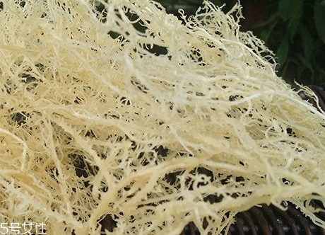 干鹿角菜怎么清洗泡發(fā) 干鹿角菜的處理方法 干鹿角菜怎么清洗泡發(fā) 干鹿角菜的處理方法