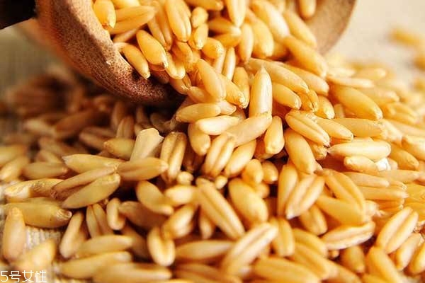 燕麥護膚品對皮膚好嗎 燕麥護膚品有哪些 燕麥護膚品對皮膚好嗎 燕麥護膚品有哪些